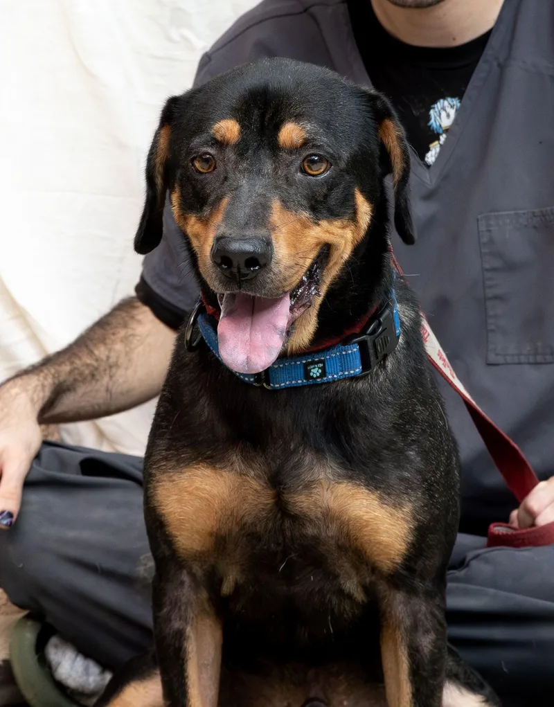 Benito...water Loving Benito thumbnail 4