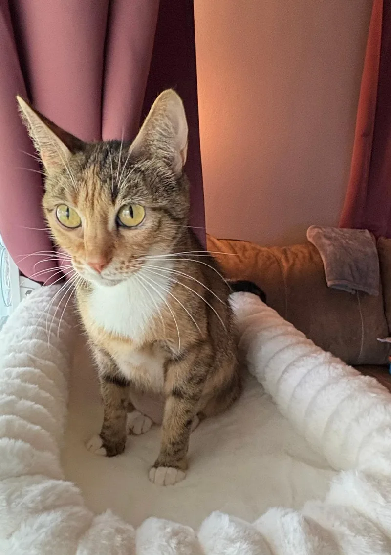 Mimi