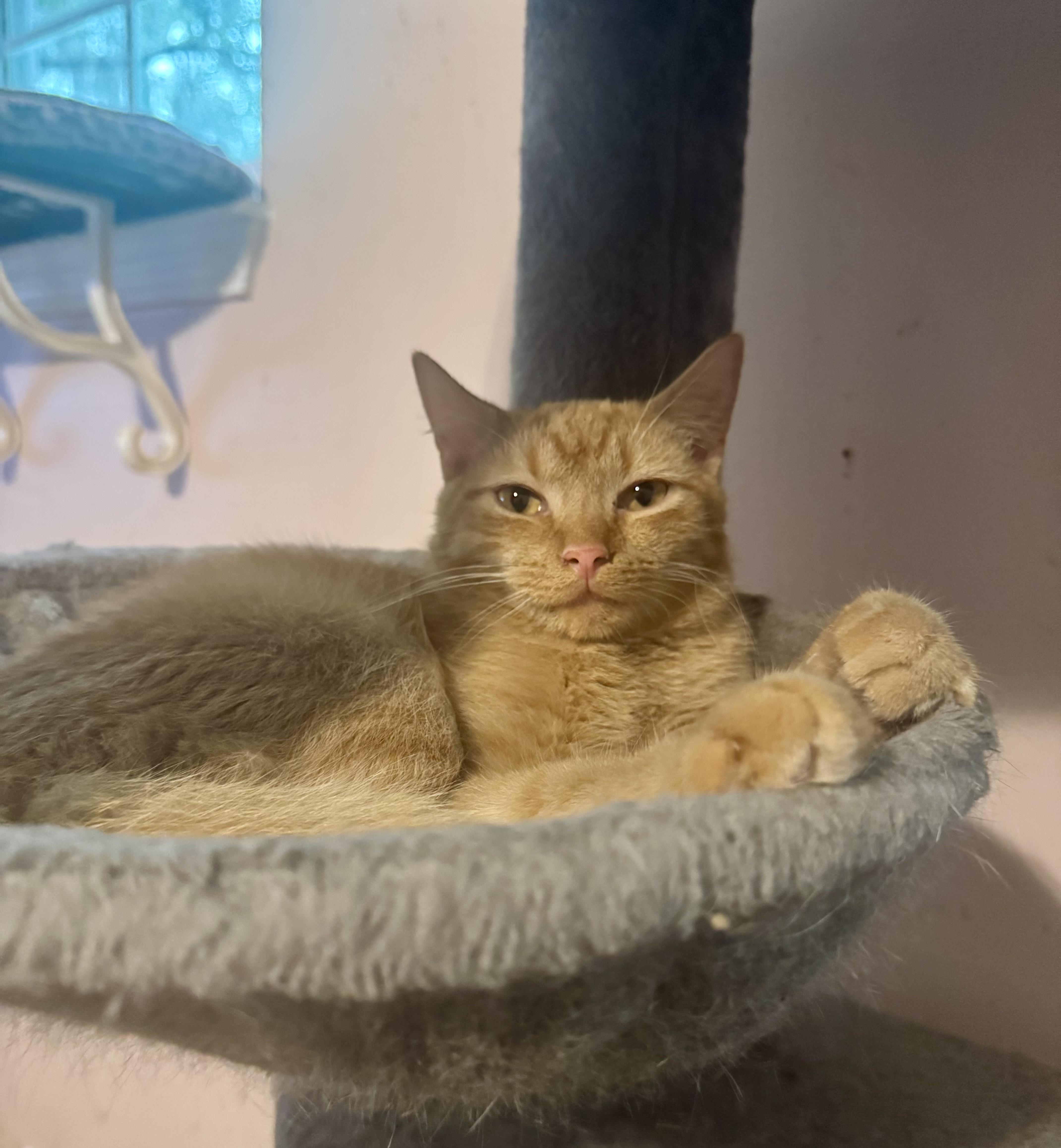 Finn =^.^= thumbnail 3