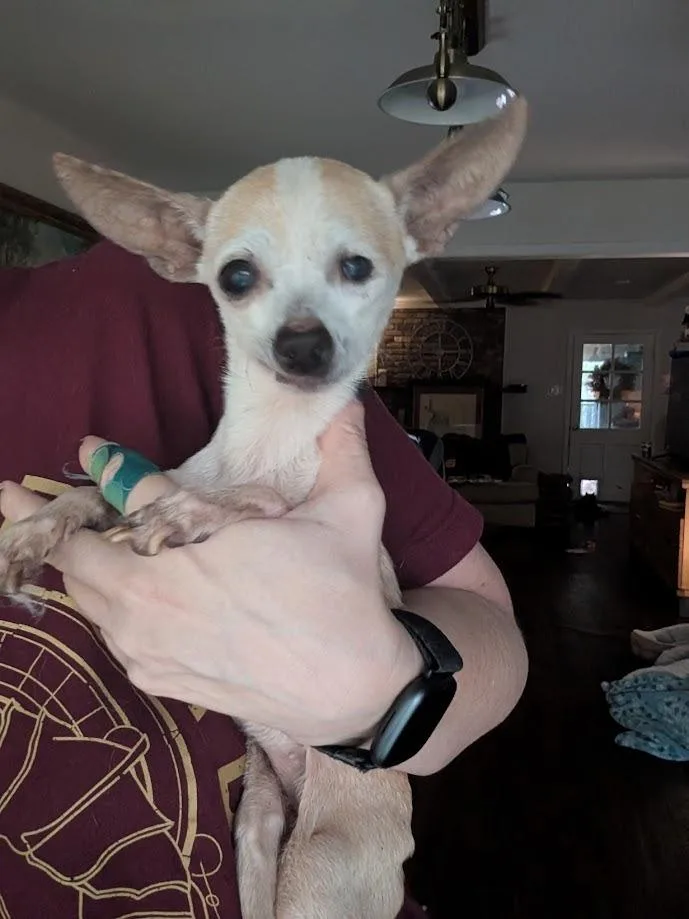 Doris thumbnail 2