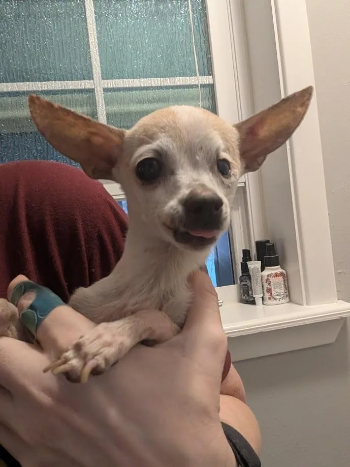 Doris thumbnail 3