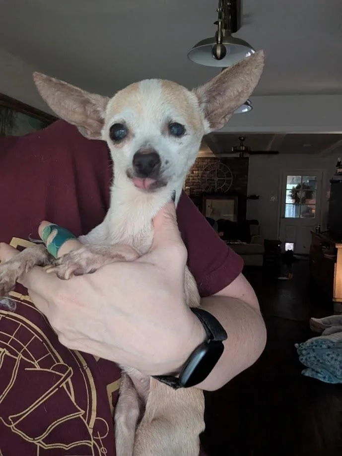 Doris thumbnail 4