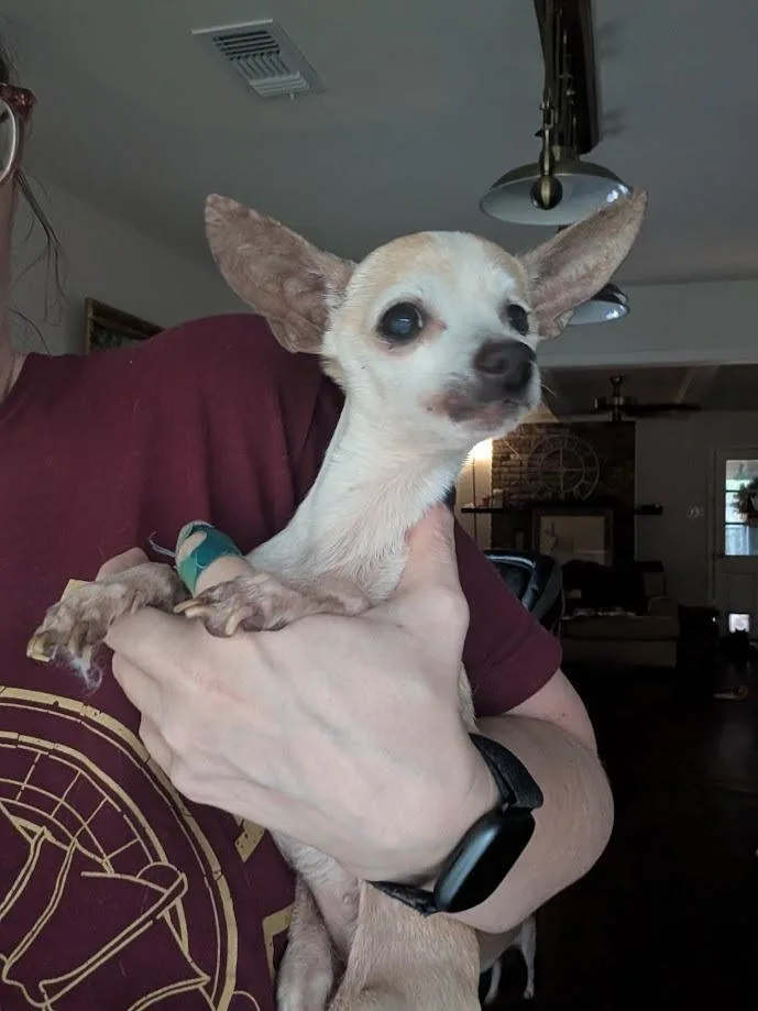 Doris thumbnail 5