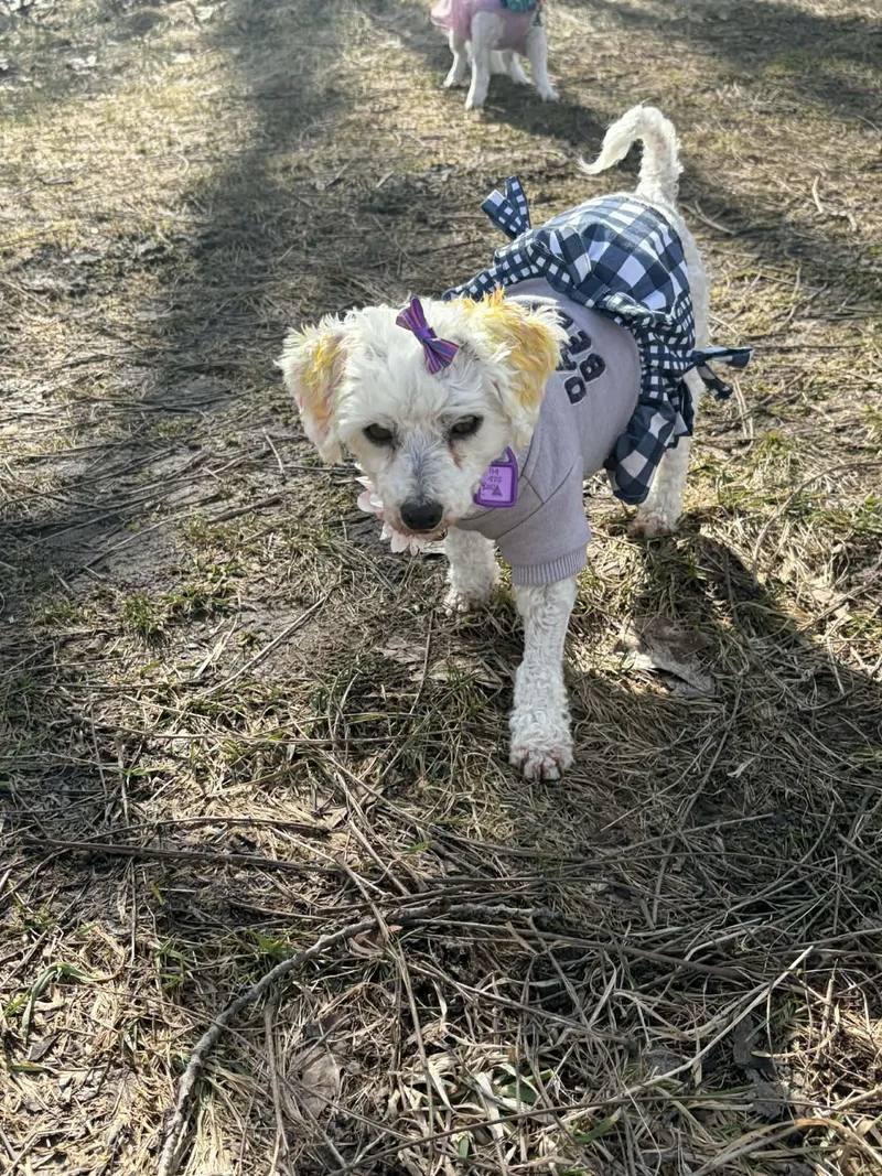 Bit O Honey thumbnail 2