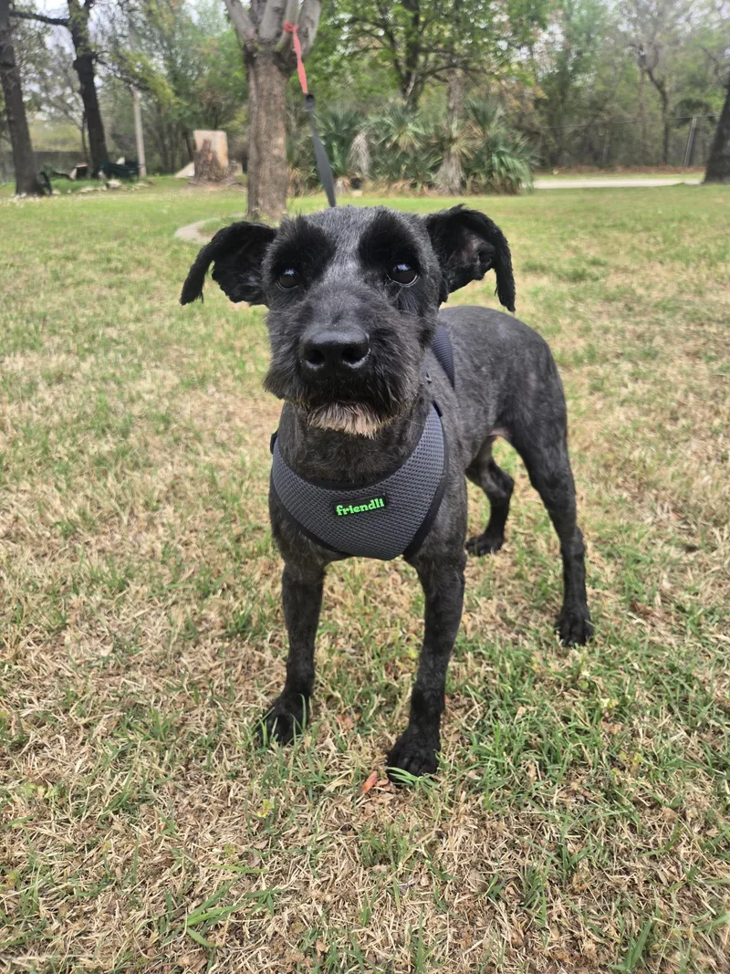 Fletcher   $ thumbnail 2