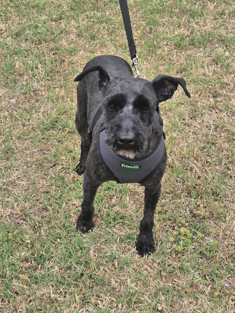 Fletcher   $ thumbnail 3