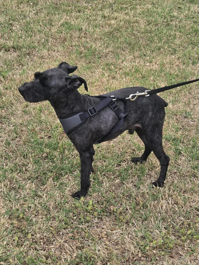 Fletcher   $ thumbnail 4