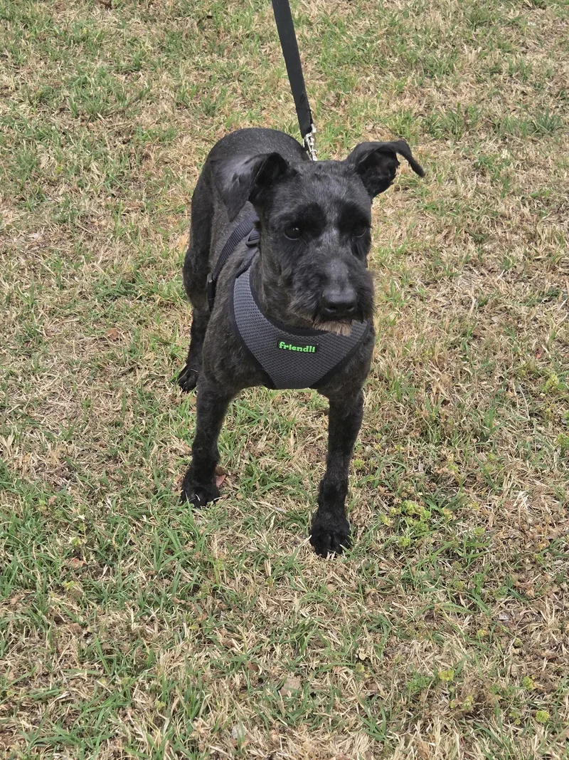 Fletcher   $ thumbnail 5