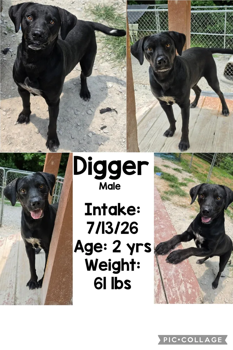 Digger