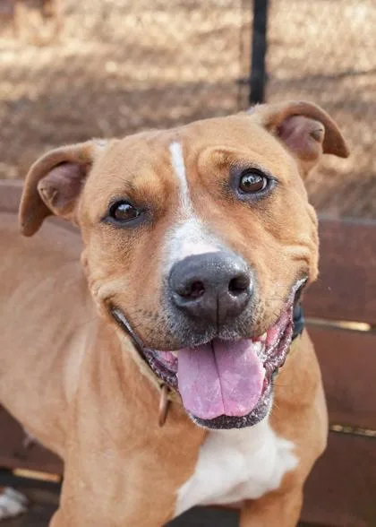 Prudence thumbnail 3