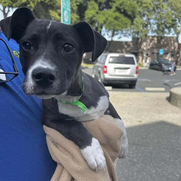 Longmire thumbnail 2