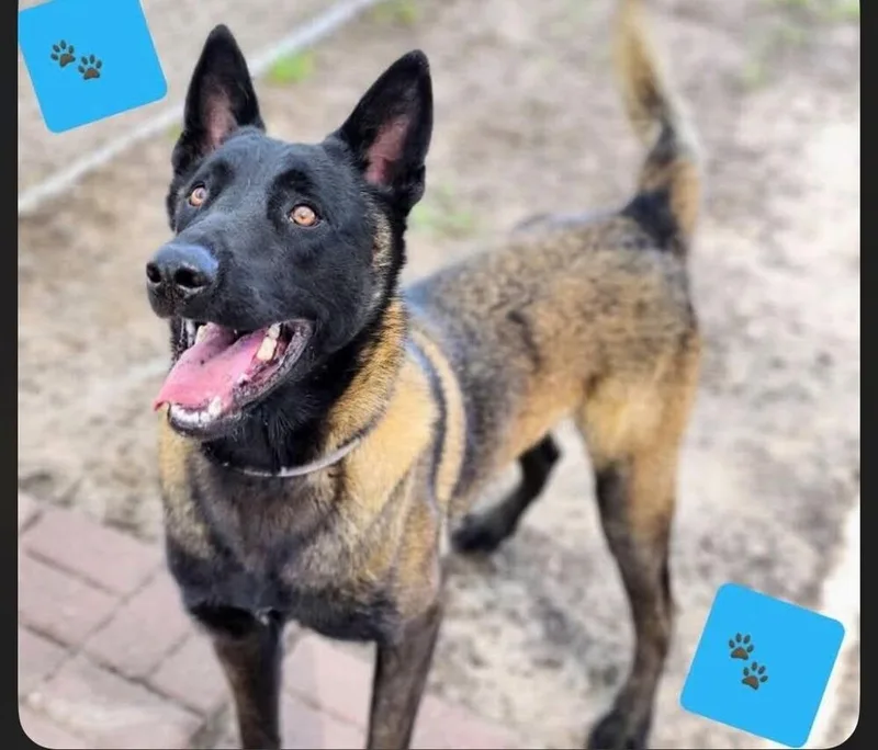 Mango Tango  Located