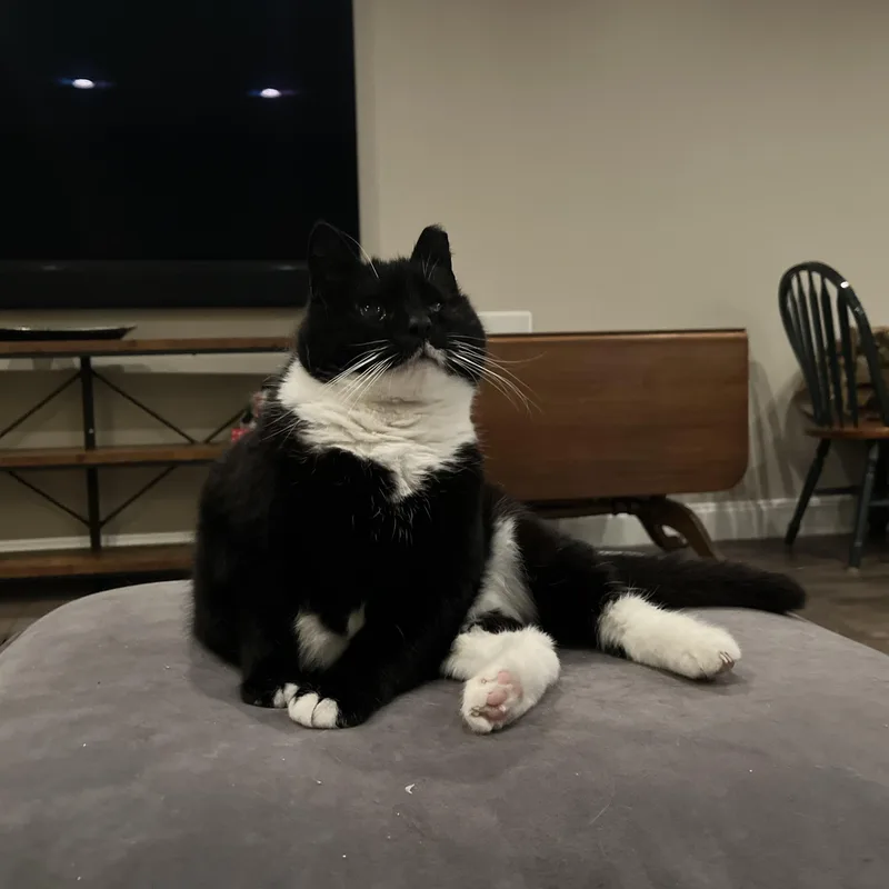 Jackie thumbnail 5
