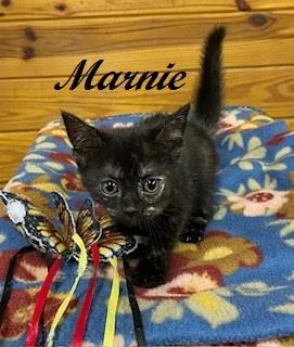 Marnie thumbnail 2
