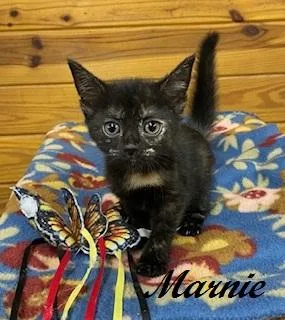 Marnie thumbnail 3