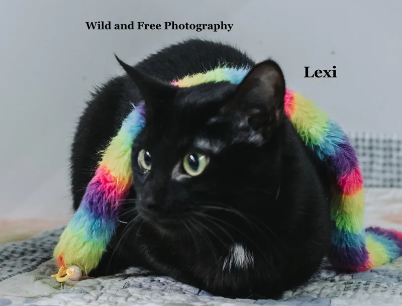 Lexi thumbnail 2