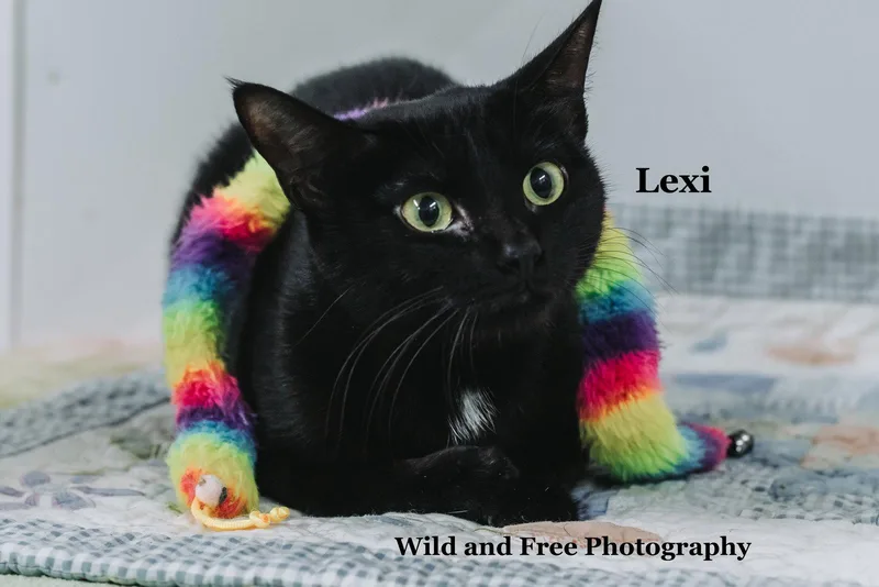 Lexi thumbnail 3