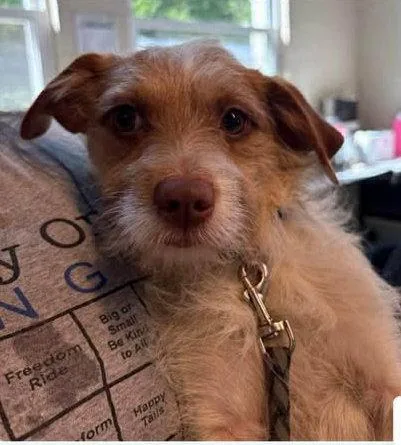Roger