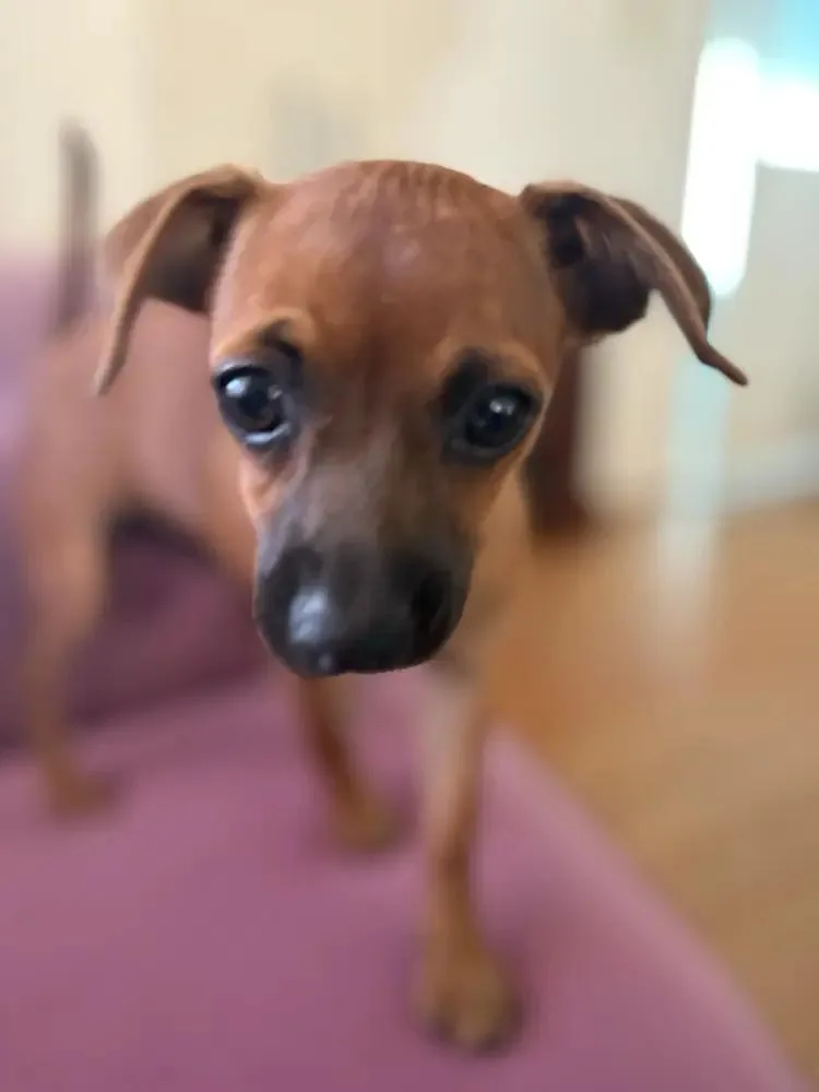 Bean thumbnail 5