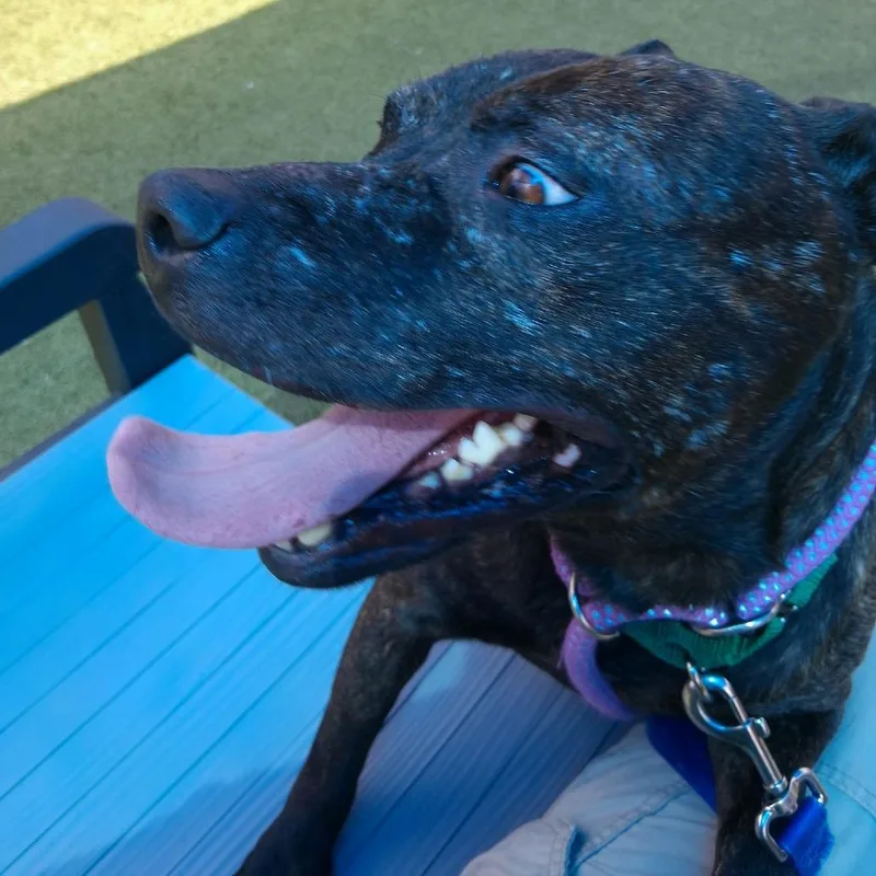 Slim Jim thumbnail 3