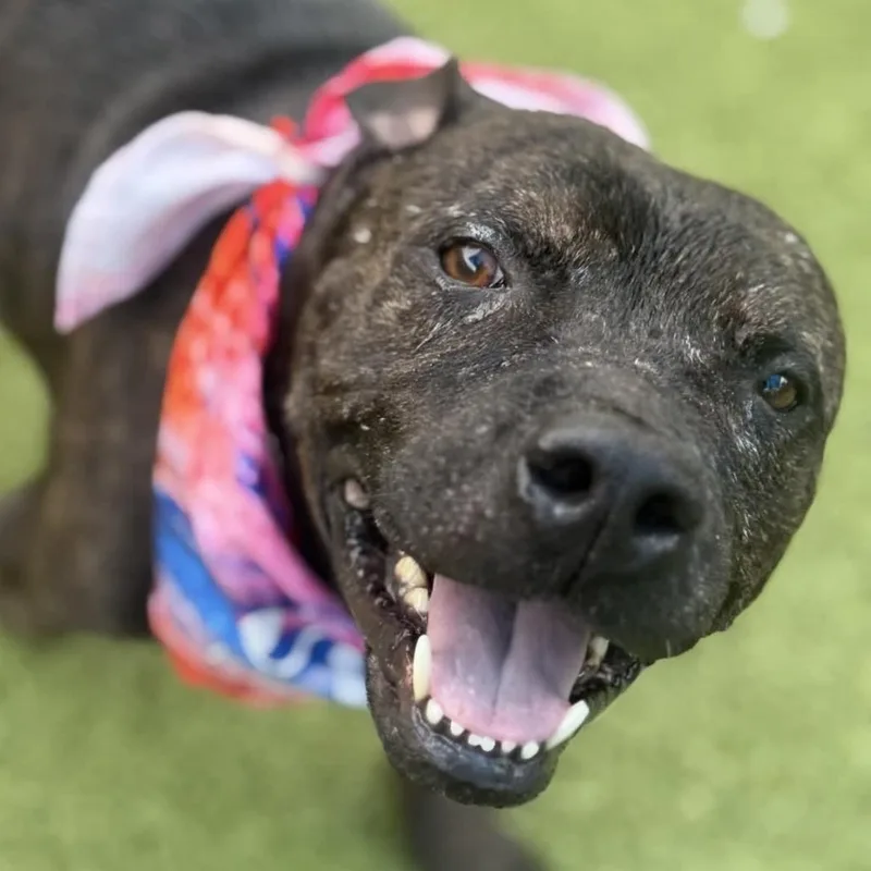 Slim Jim thumbnail 6