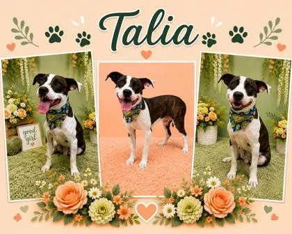 Talia thumbnail 3