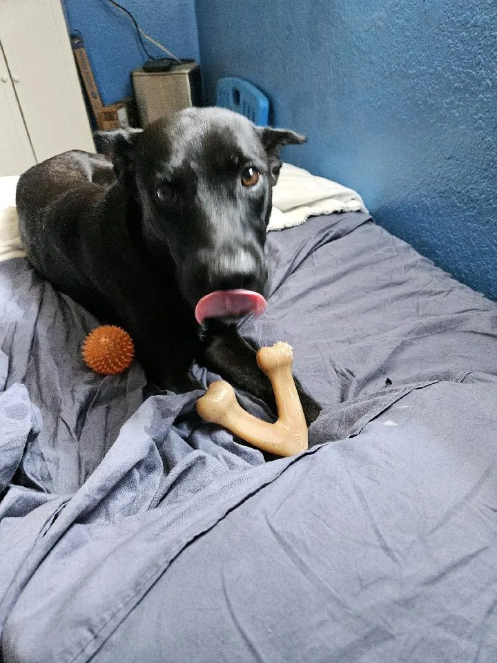 Mommy Nina thumbnail 3