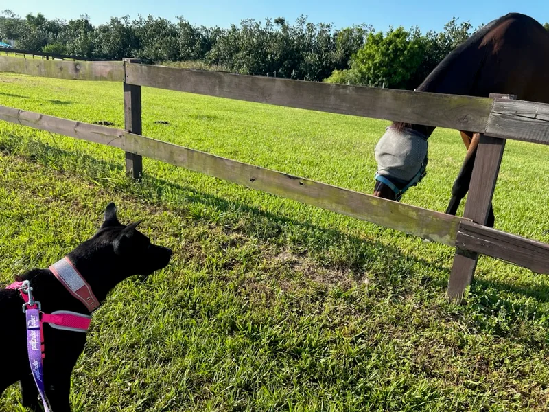 Mommy Nina thumbnail 4