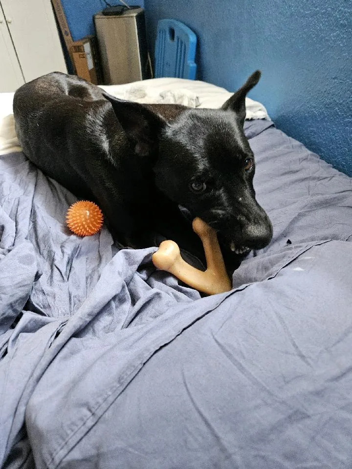 Mommy Nina thumbnail 5