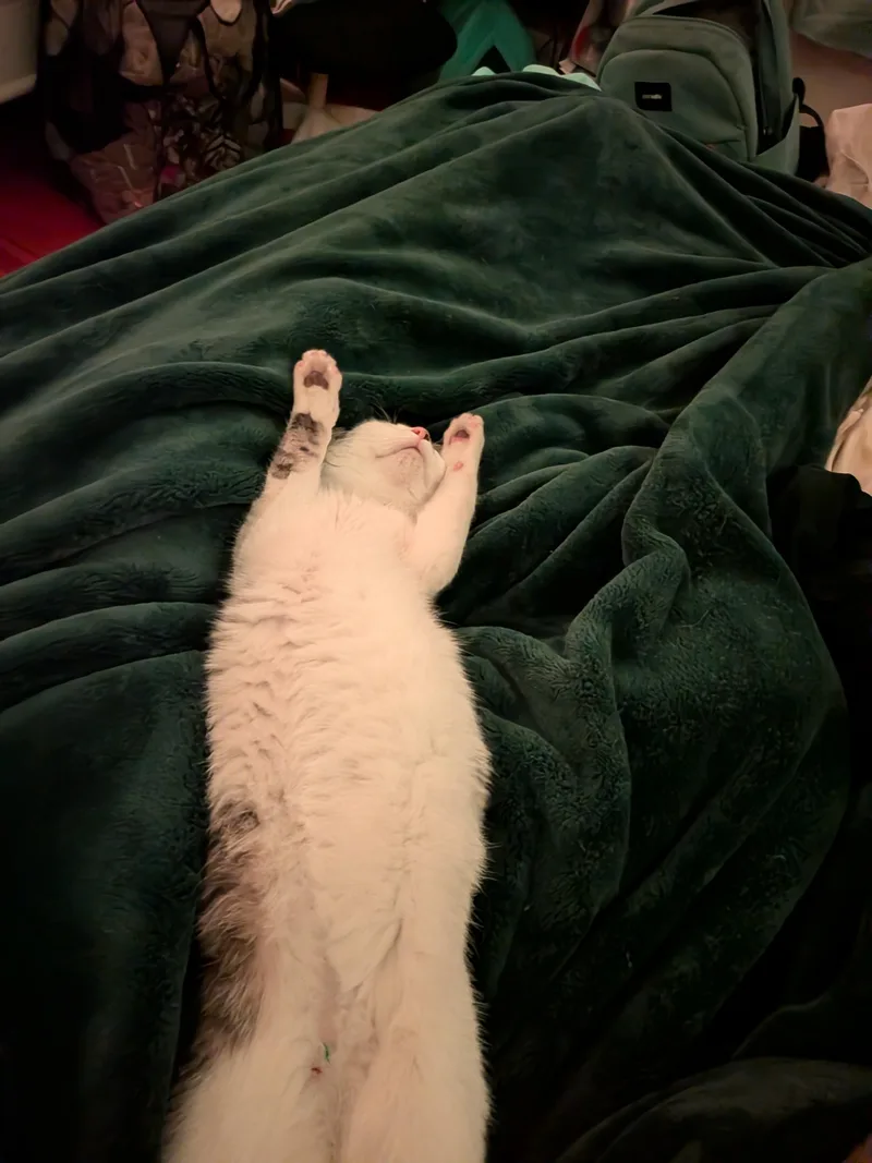 Clumsy thumbnail 3