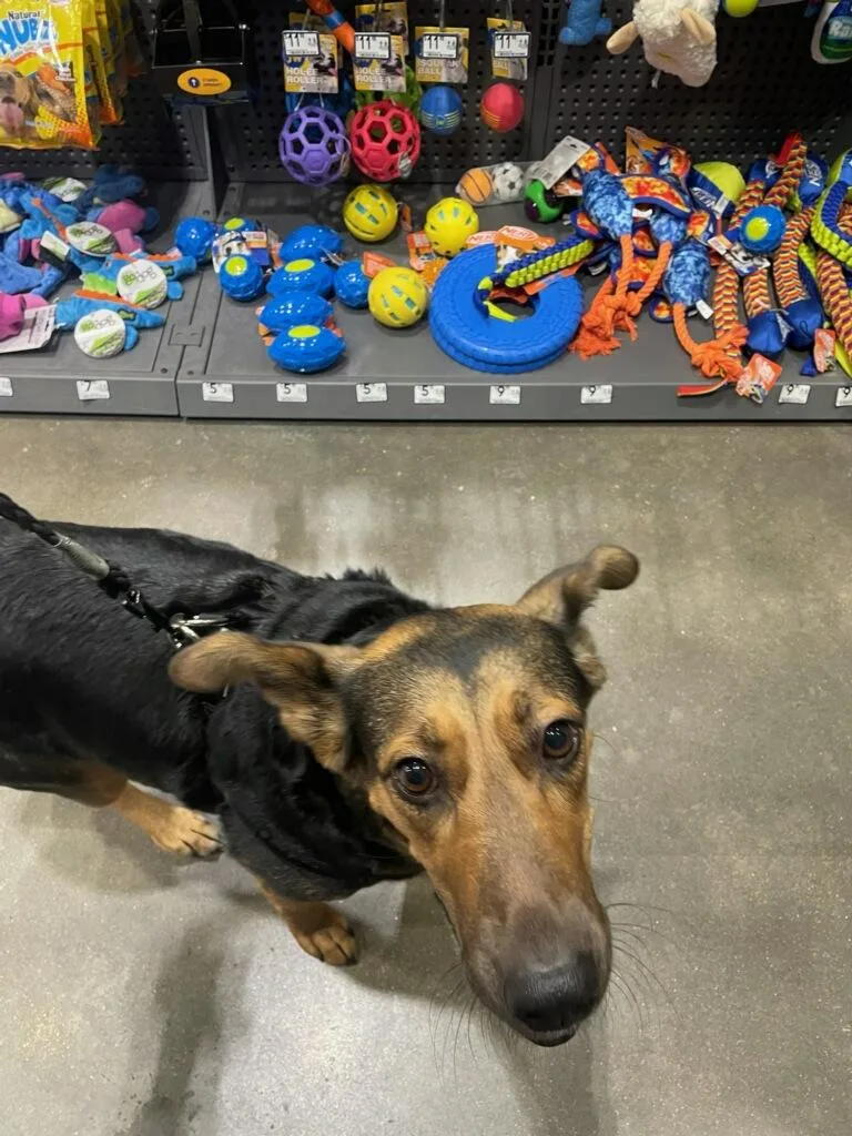 Dutchess  Ny thumbnail 4