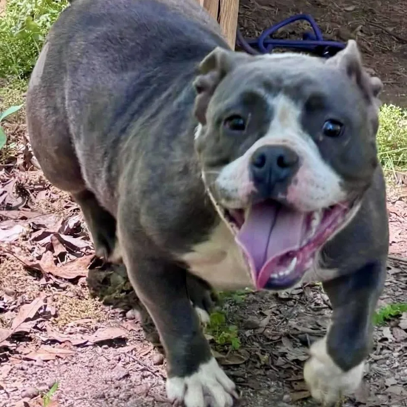 Mama Maisie thumbnail 2