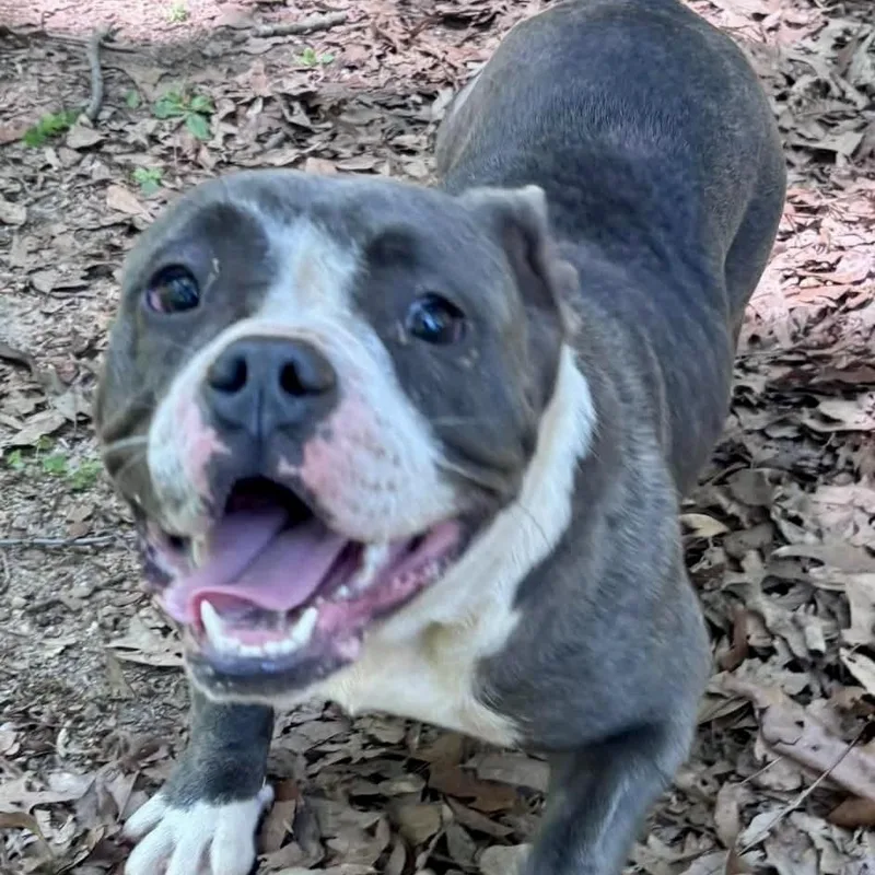 Mama Maisie thumbnail 3