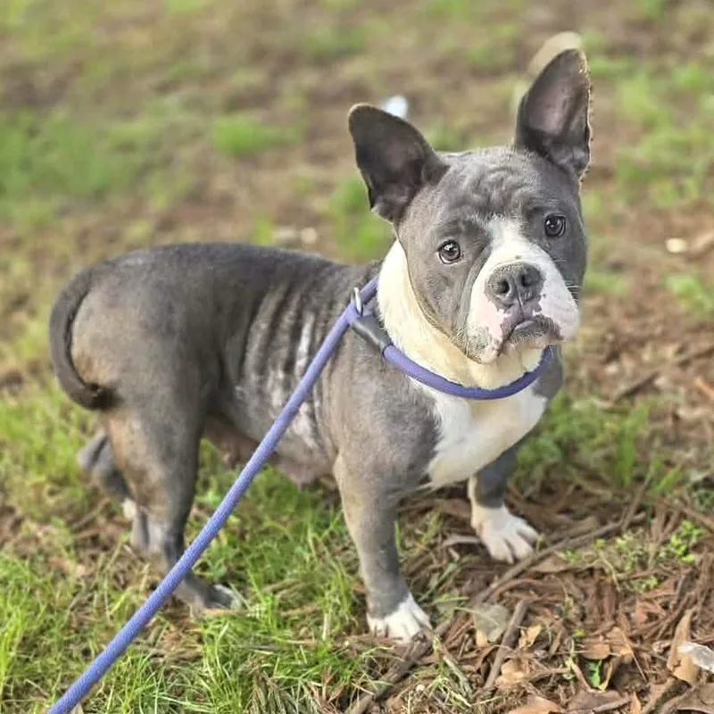 Mama Maisie thumbnail 4