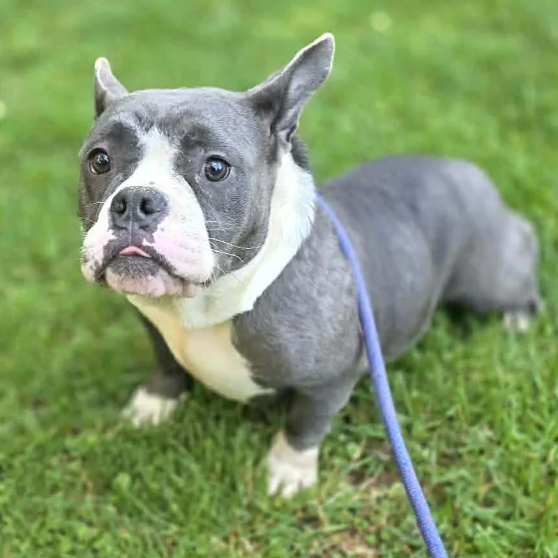 Mama Maisie thumbnail 6