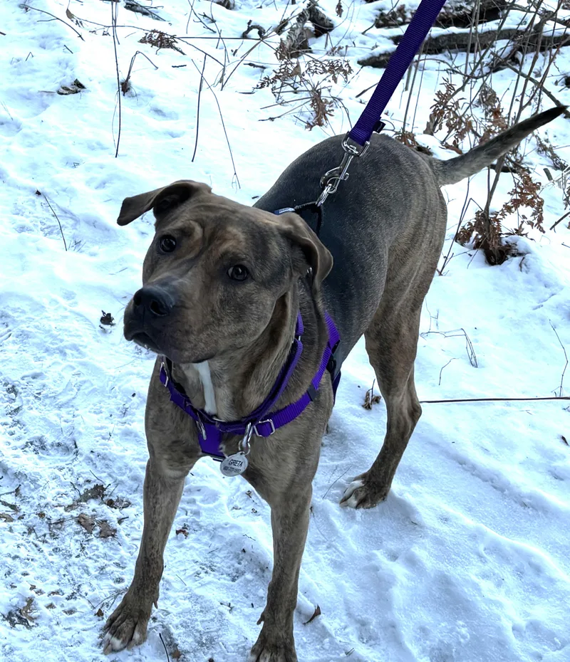 Greta Cp thumbnail 2