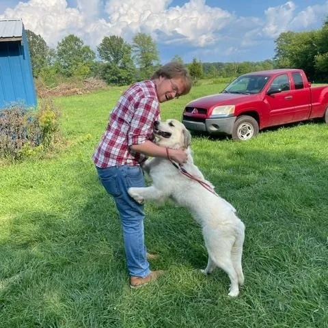 Sweet Pea  Beautiful thumbnail 4