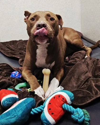 Jimmy D. thumbnail 2