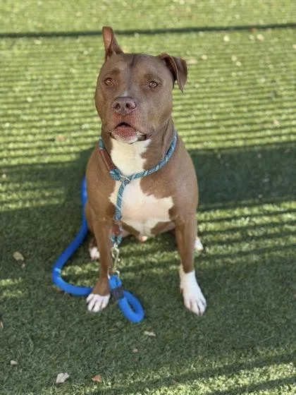 Jimmy D. thumbnail 3