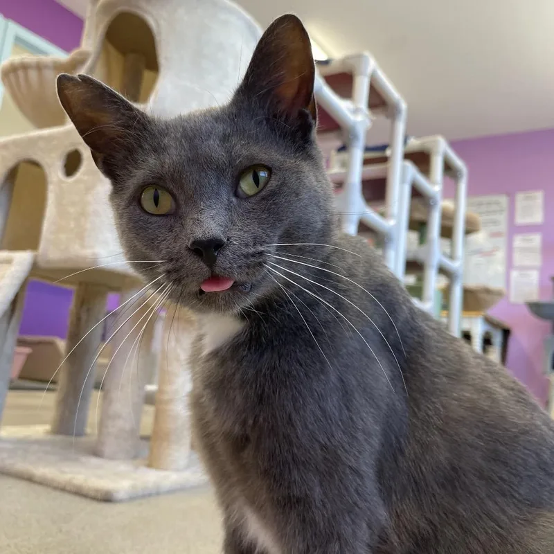 Nicholas thumbnail 3