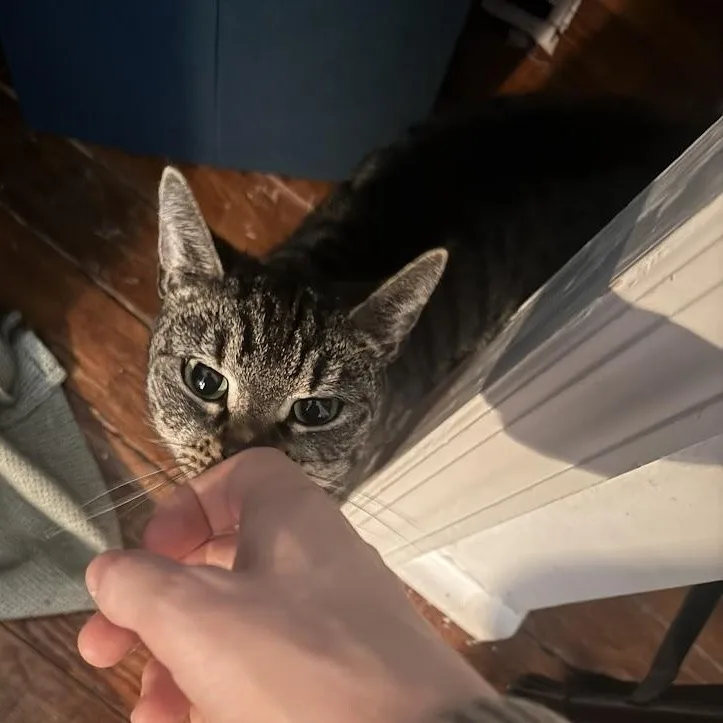 Cat Benatar thumbnail 4