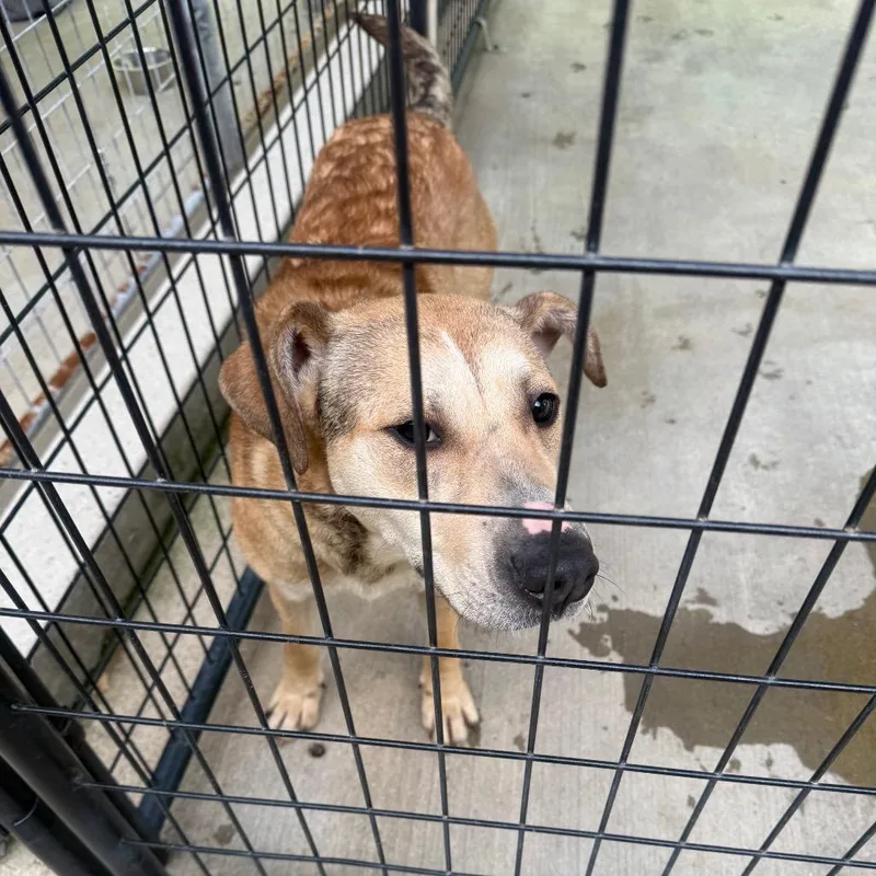 Penelope thumbnail 2