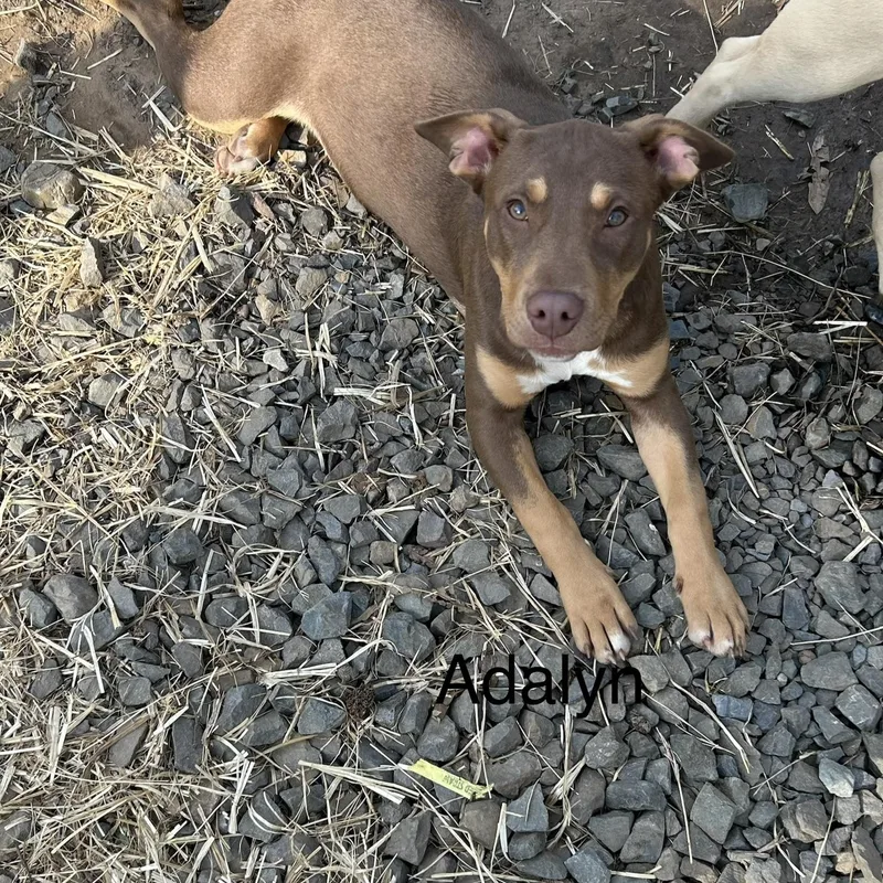 Adalyn thumbnail 2