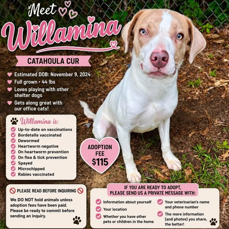 Willamina thumbnail 2