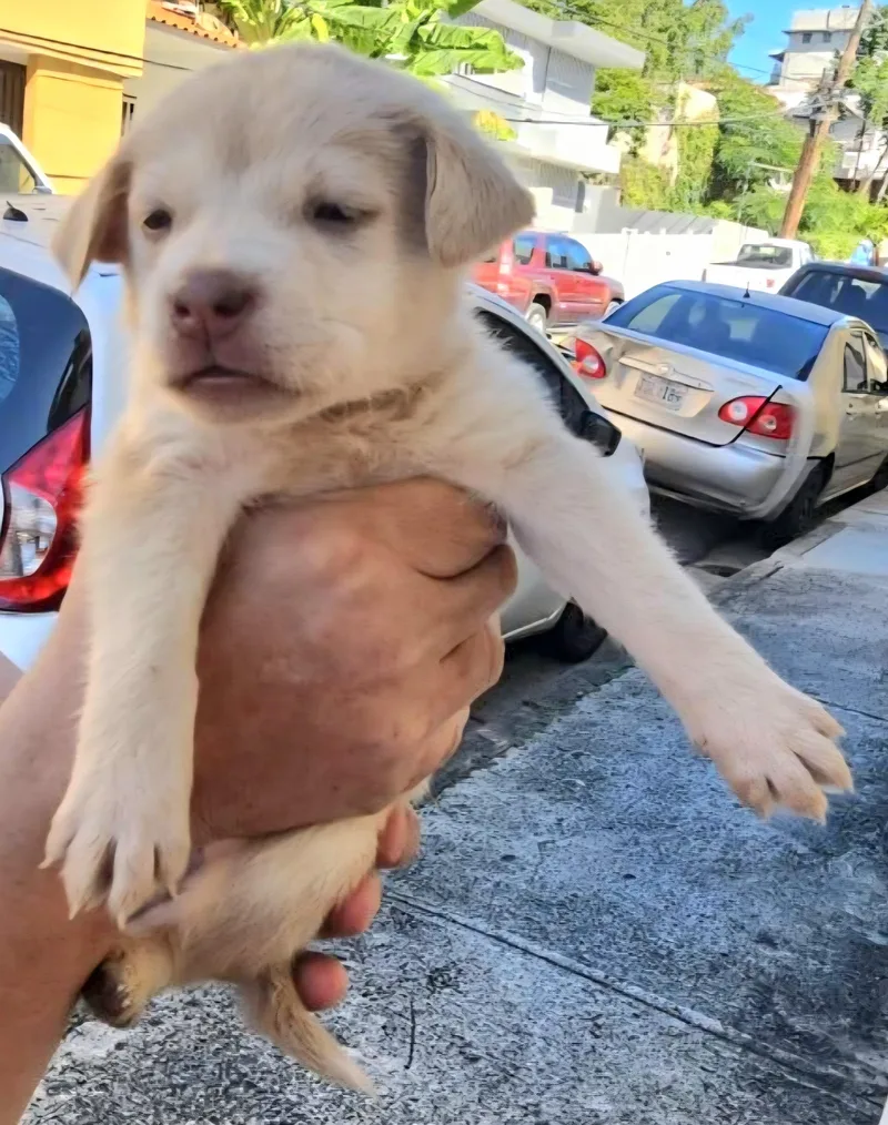 Natalia "the Forever Love thumbnail 2