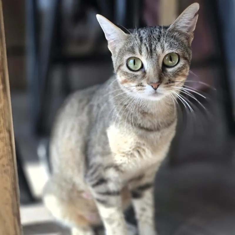 Mj thumbnail 3