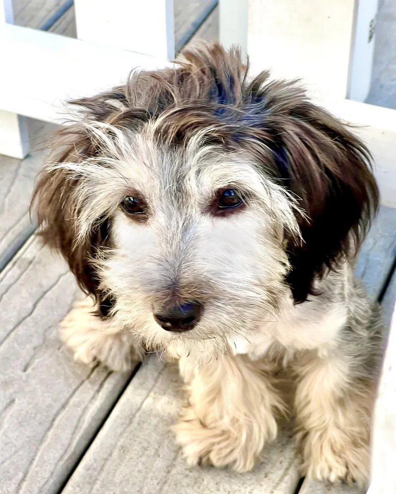 Hudson thumbnail 2
