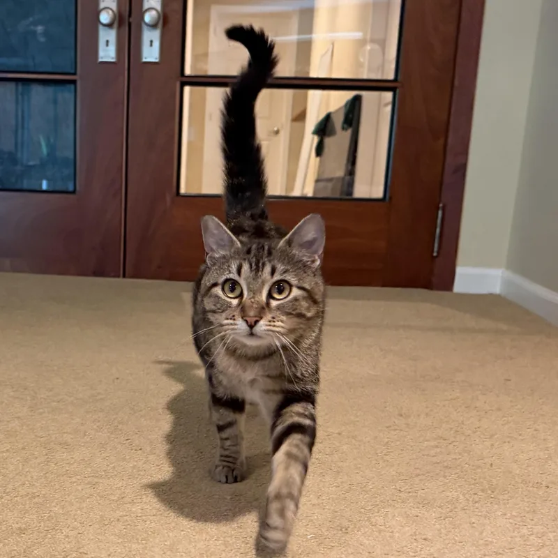 Izzy thumbnail 5