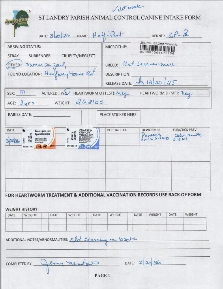 Half Pint thumbnail 2