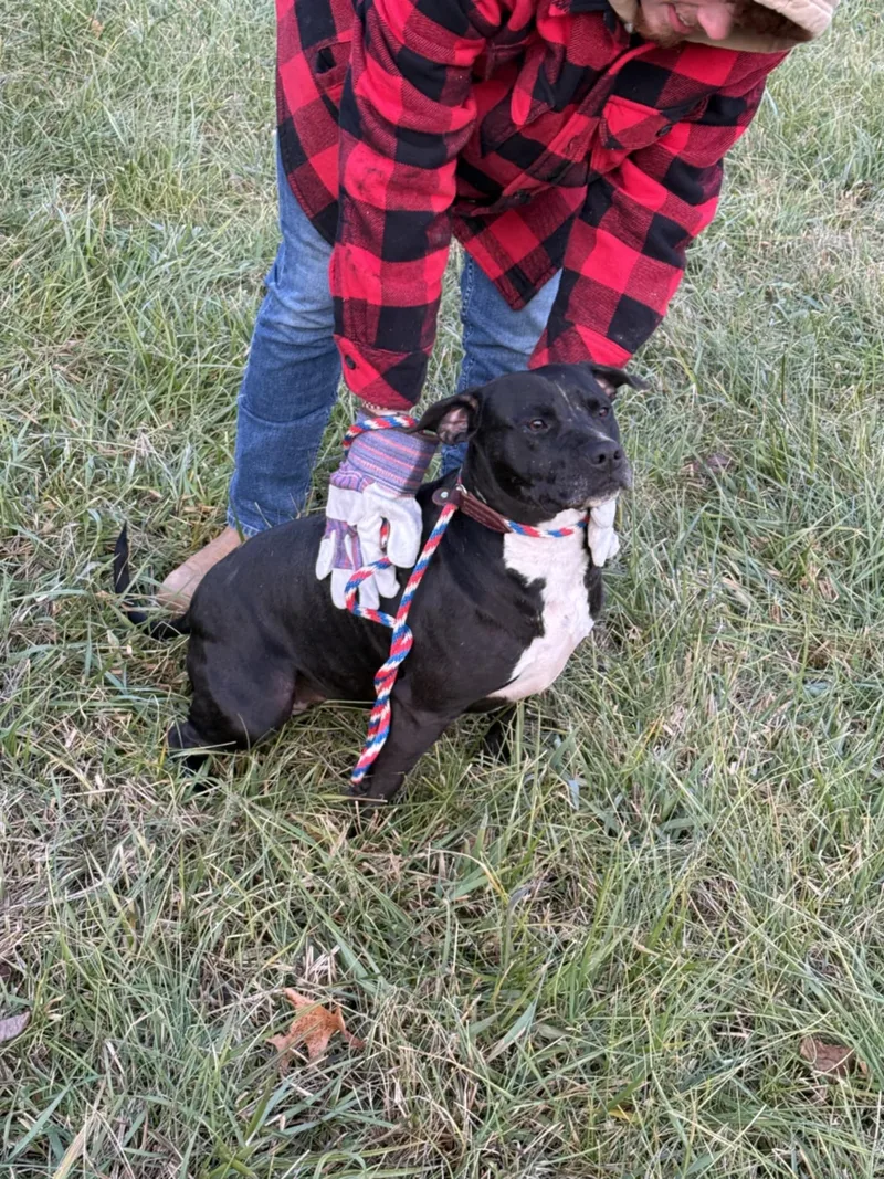 Pepper Ann thumbnail 2